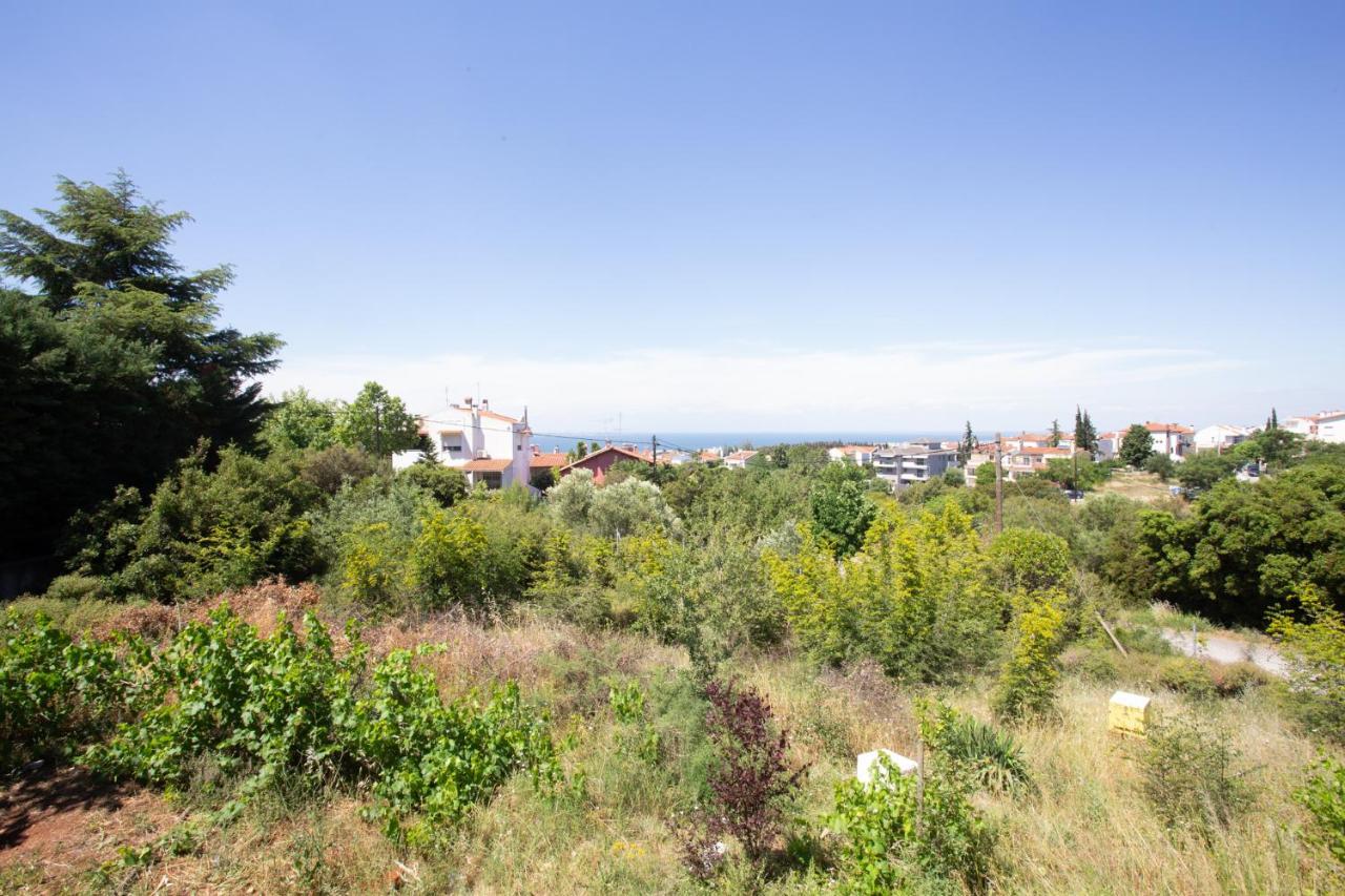 Τraditional Fully Detached Villa On A Luxurious Hillock Of Thessaloniki With Its Own Garden Also For Family & Wedding Gatherings For 10 To 25 People Only 15 Minutes From Airport Zewnętrze zdjęcie